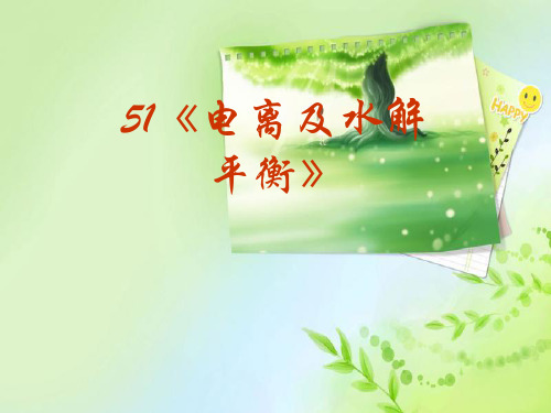 电离及水解平衡PPT教学课件