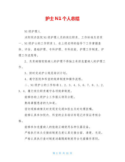 护士N1个人总结