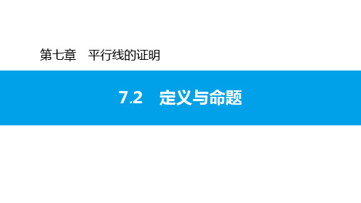 7.2 定义与命题-北师大版八年级数学上册习题课件(共17张PPT)