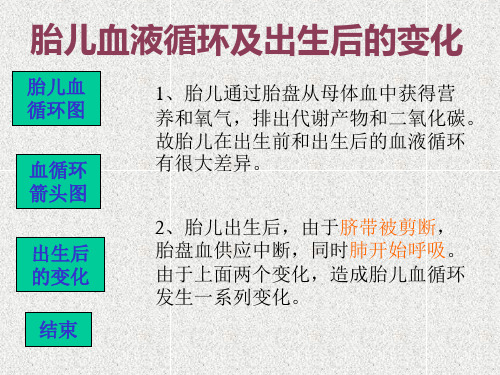 4胎儿血液循环及出生后的变化