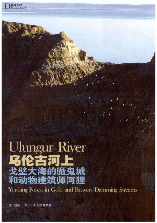 乌伦古河上戈壁大海的魔鬼城和动物建筑师河狸