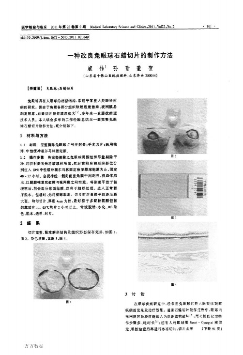 一种改良兔眼球石蜡切片的制作方法