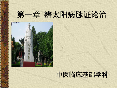 伤寒论讲稿