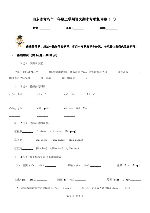 山东省青岛市一年级上学期语文期末专项复习卷(一)