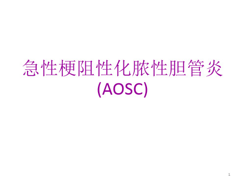 急性梗阻性化脓性胆管炎护理要点
