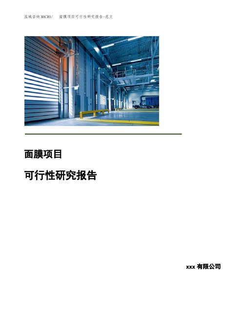 面膜项目可行性研究报告-范文