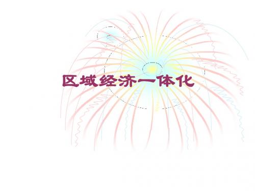 国际经济学—区域经济一体化