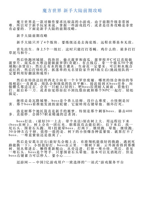 魔方世界新手大陆前期攻略