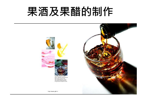 《果酒及果醋的制作》(完整版)