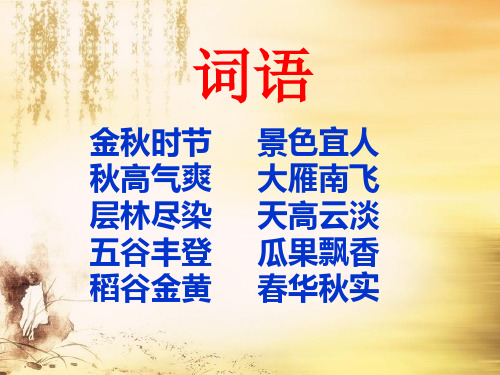 低年级看图写话训练《美丽的秋天》课件