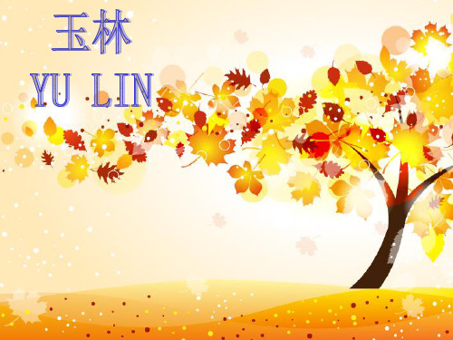 玉林英语简介