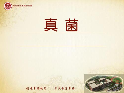 人教版八年级生物上册课件：5.4.3真菌 (共20张PPT)