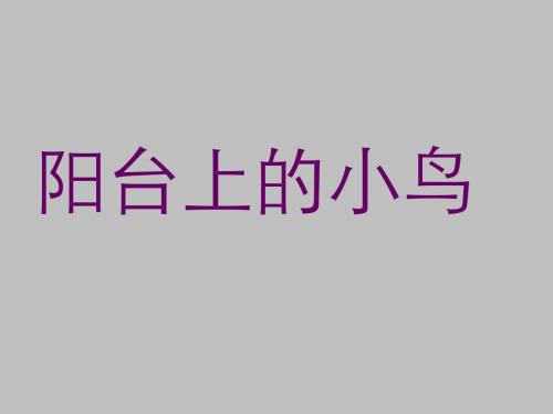 《阳台上的小鸟》PPT课件之二(-S版)