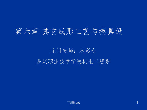 其它冷冲压成形工艺与模具设计ppt课件