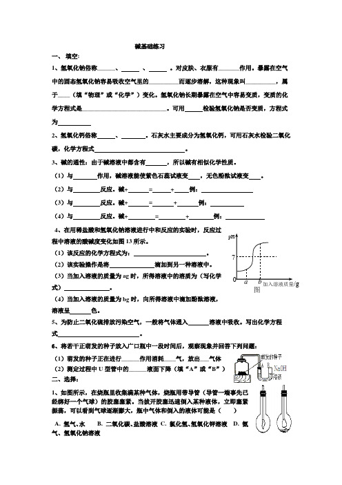 碱基础练习