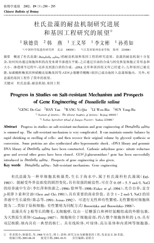 杜氏盐藻的耐盐机制研究进展和基因工程研究的展望