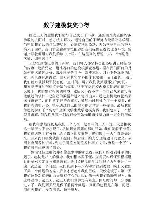 数学建模获奖心得