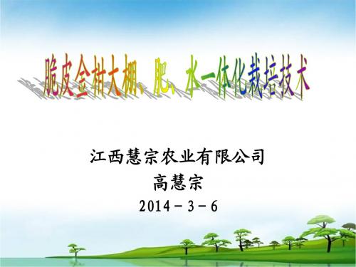 脆皮金柑大棚栽培技术-PPT