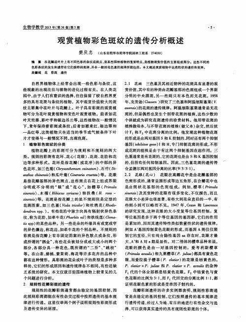观赏植物彩色斑纹的遗传分析概述