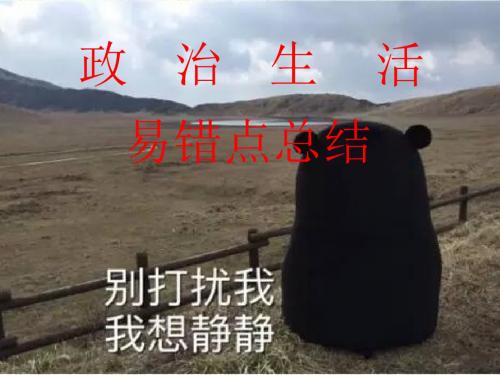 人教版高中政治必修2《政治生活》改错题课件