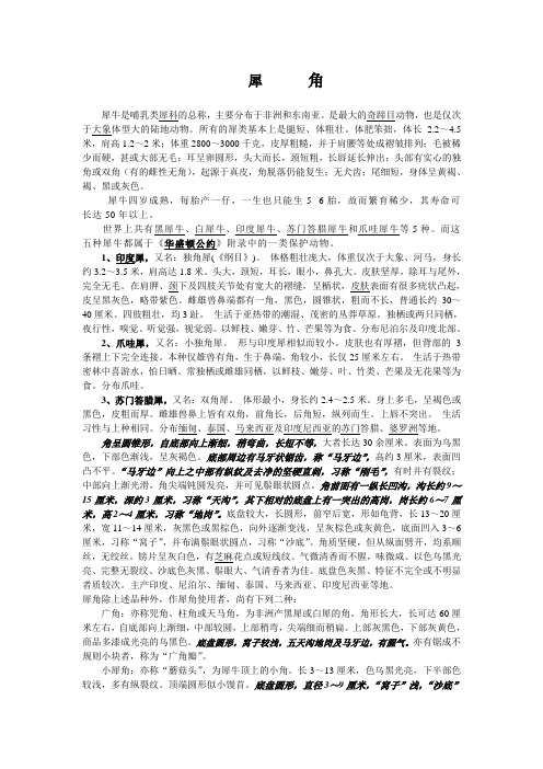 犀牛