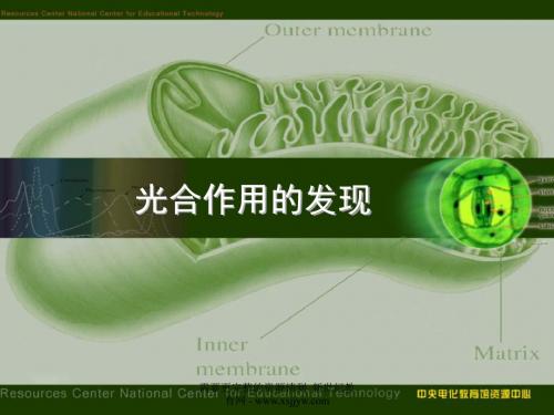 光合作用的发现