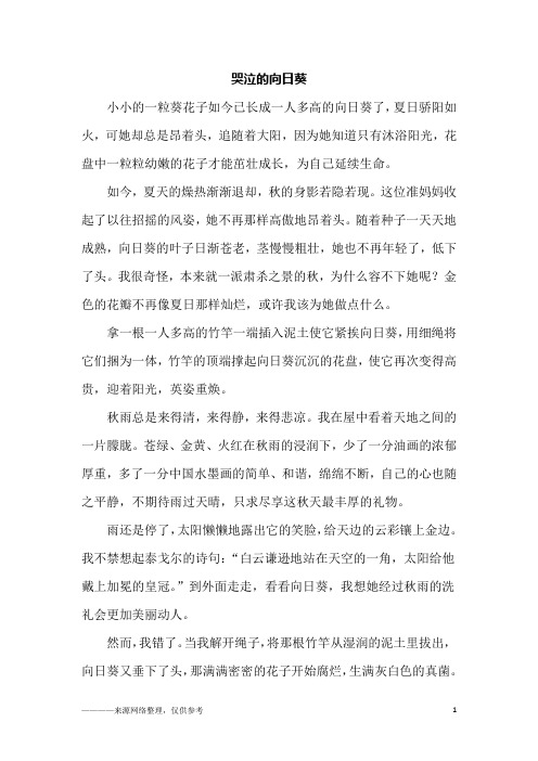 哭泣的向日葵_初三作文