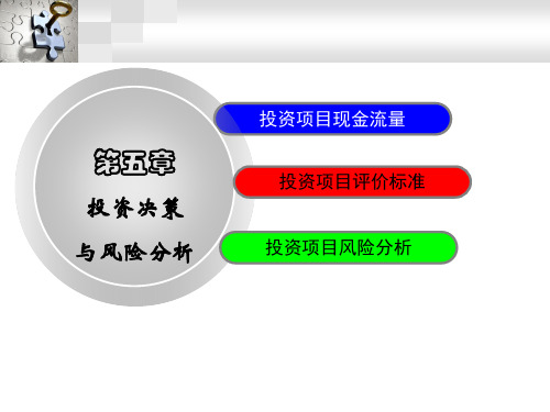 5投资决策与风险分析