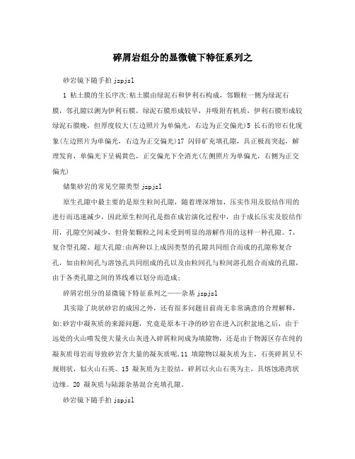 碎屑岩组分的显微镜下特征系列之