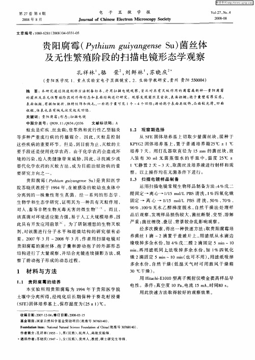 贵阳腐霉(Pythium guiyangense Su)菌丝体及无性繁殖阶段的扫描电镜形态学观察