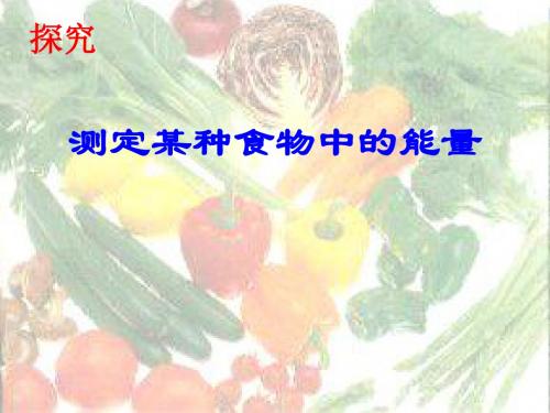 人教版生物七年级下册《测定某种食物中的能量》课件