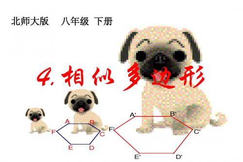 相似多边形ppt课件四