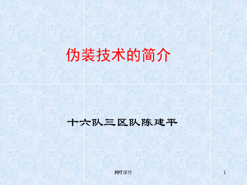 伪装技术的简介  ppt课件