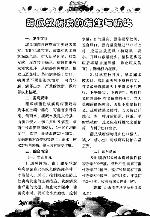 甜瓜软腐病的发生与防治