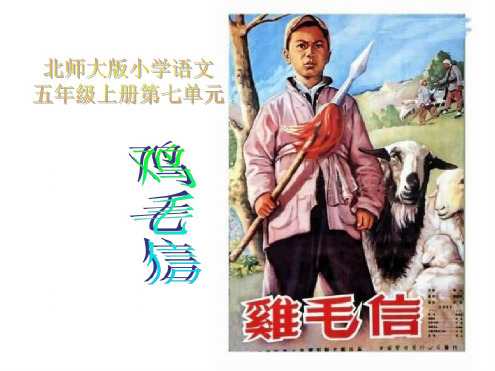 五年级语文鸡毛信课件
