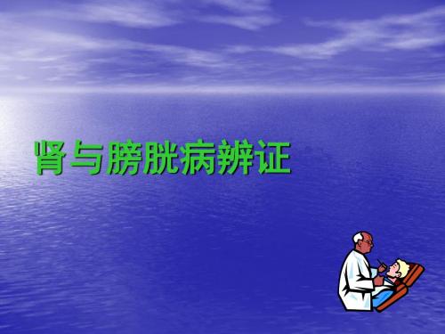 肾与膀胱病辨证分析课件
