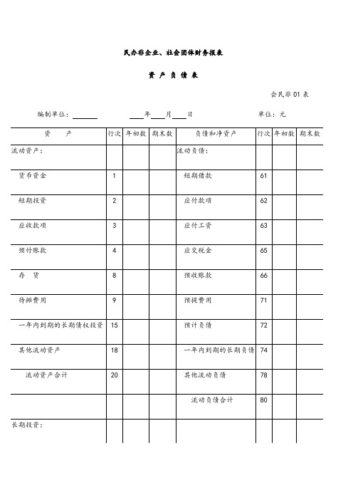 社会团体财务报表