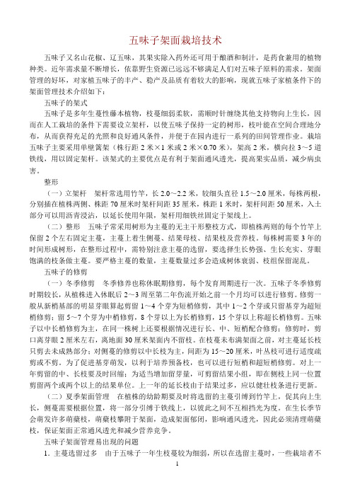 五味子架面栽培技术