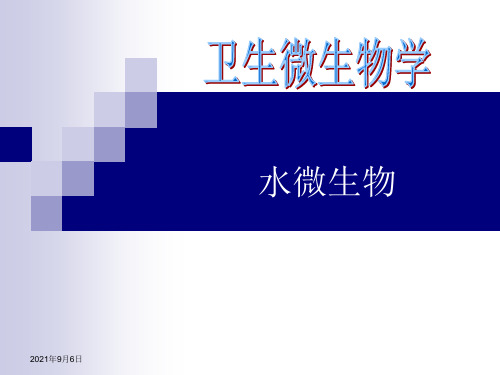 卫生微生物学课件-水微生物