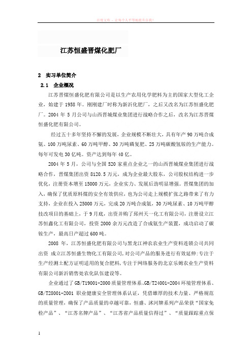 江苏恒盛晋煤化肥厂资料