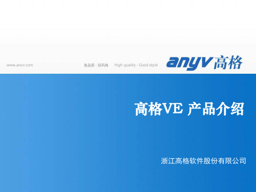 2-高格VE产品介绍