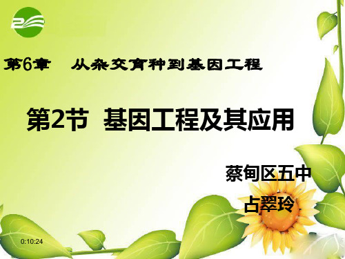【公开课】基因工程及其应用