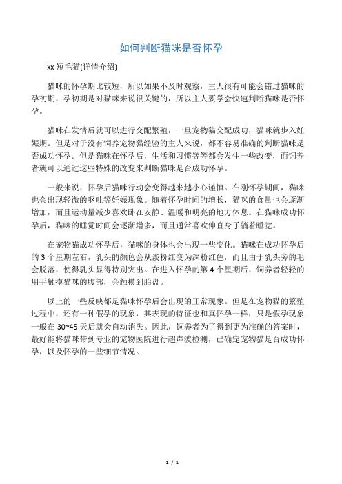 如何判断猫咪是否怀孕