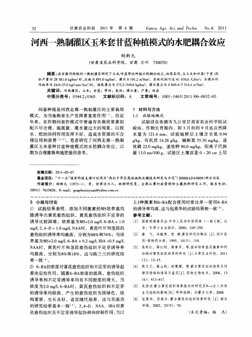 河西一熟制灌区玉米套甘蓝种植模式的水肥耦合效应