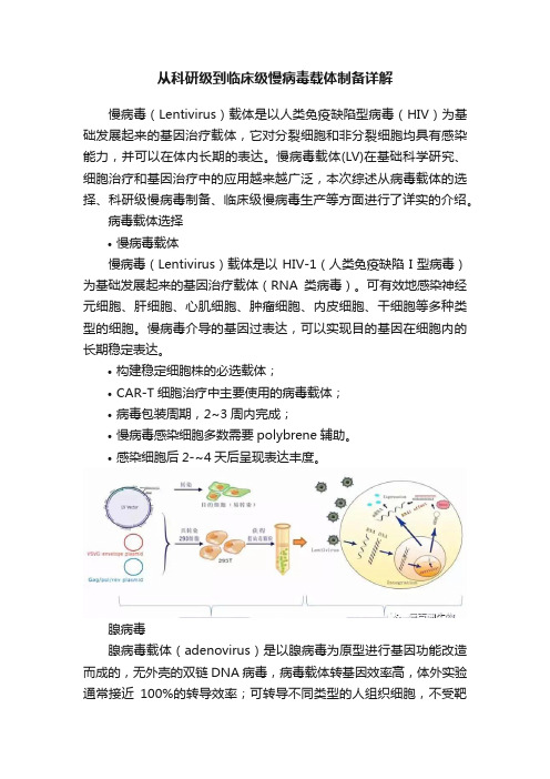 从科研级到临床级慢病毒载体制备详解