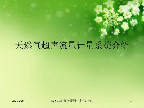 天然气超声流量计量系统介绍优秀课件