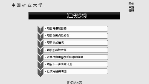 年月大创中期答辩PPT课件