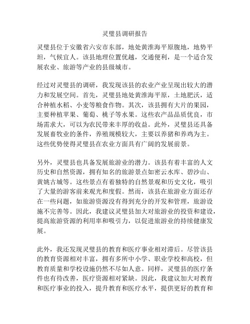 灵璧县调研报告