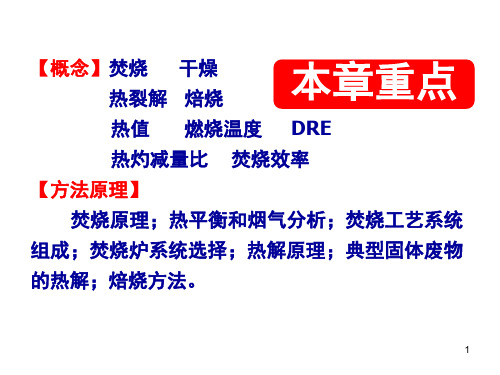 固体废物的热处理