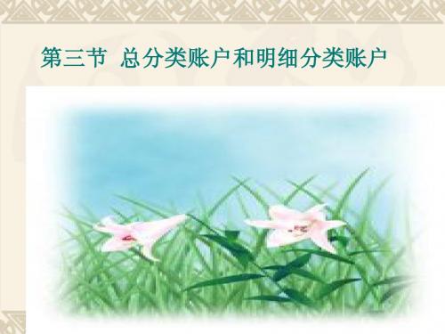 教育部参赛—总分类账户和明细分类账户的登记-林帅